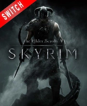 The Elder Scrolls 5 Skyrim Nintendo Switch