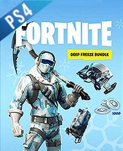 Fortnite Deep Freeze Bundle PS4