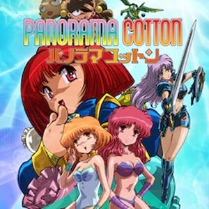 Panorama Cotton PS5