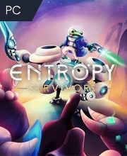 Entropy Survivors