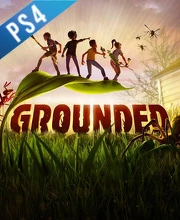 Grounded PS4