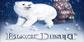 Black Desert Traveler Item Pack PS4