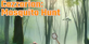 Cazzarion Mosquito Hunt PS5