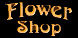 Flower Shop Winter In Fairbrook